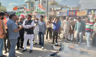 भाजपा प्रदेशाध्यक्ष सतीश पुनिया का बयान अमर्यादित - निम्बाडा