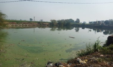 आखिर कब तक चलेगा ईमानदारी का चोला: पानी से भरी तिलिस्मी पोखर में चल रहा निर्माण कार्य