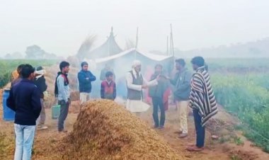 हथियारबंद बदमाश ले गए 6 गोवंश, गौवंश मालिक को बांध गए चारपाई पर