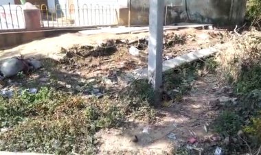 कोई नही ले रहा सुध: शहर का नेहरू गार्डन हुआ दुर्दशा का शिकार