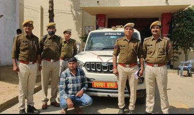 बानसूर पुलिस ने की कार्यवाही, राजस्थान सरकार लिखी स्कार्पियो गाड़ी से अवैध शराब की बरामद