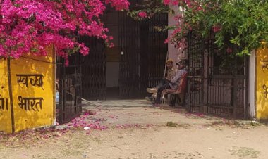 आखिर क्यों सरपंच के खिलाफ अविश्वास प्रस्ताव हुआ पारित: पक्ष में पड़े केवल दो वोट, जाने क्या है पूरा मामला