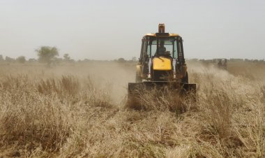 अतिक्रमण पर चला प्रशासन का पीला पंजा: उच्च न्यायालय के आदेशों पर नांगल लाखा में 1100 बीघा सरकारी भूमि से अतिक्रमण हटाने की कार्यवाही शुरू