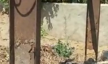 आबादी के बीच लगे लोहे के विद्युत पोल नीचे से हो चुके जर्जर: विभाग की अनदेखी के चलते दे रहे हादसे को न्यौता