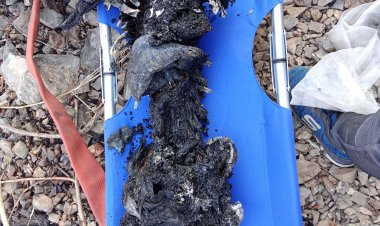 उदयपुर- खाई में गिरी कार में लगी आग, मेहरानगढ़ म्यूजियम ट्रस्ट के निदेशक की मौत