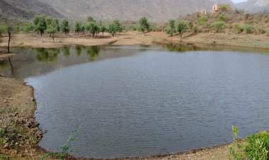 मीठे पानी के लिए जोहड़ संरक्षण आवश्यक - मीणा