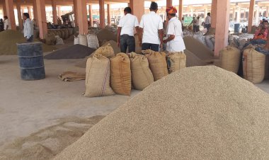 जीरे की उपज में देश की दूसरी सबसे बड़ी मंडी का दर्जा हासिल: रसिया सहित किर्गिस्तान में फैलाई अपनी महक