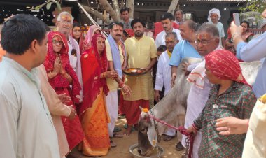 हीरवाना गौशाला मंदिर में मंत्रोच्चारण के साथ हुई विभिन्न मूर्तियों की प्राण प्रतिष्ठा, पूर्णाहुति के साथ चढ़ाया छप्पन भोग