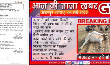 खबर का असर: विद्युत विभाग की लापरवाही के चलते 2 सांडो की मौत, खबर चलने के बाद कर्मचारियों की खुली कुंभकरण नींद, लाइनमैन निलंबित