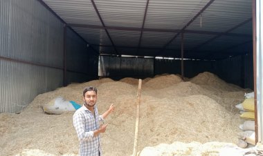 गौशालाओं में गहराया चारा संकट: सरकारी सहायता व  जनसहयोग की प्रतीक्षा