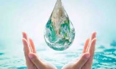 नदियां बहस का विषय नहीं इन्हें लेकर काम होना जरूरी: वर्ष भर बहनें वालीं नदियों का जल स्तर गिरना चिंता की बात