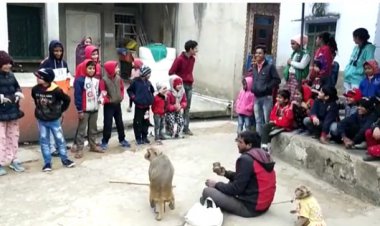 प्रशासन का नही भय: मनोरंजन के लिए वन्यजीवों को पकड बना रखा कैदी, गाँव गाँव दिखा रहे खेल