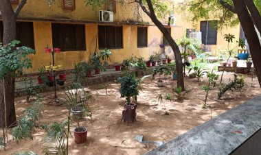 अस्पताल में विकसित पार्क पक्षियों के लिए आश्रय स्थल बन रहें