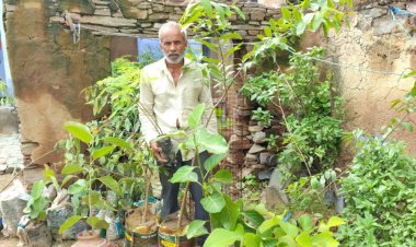 पर्यावरण प्रेमी सुरेन्द्र सैन ने अभी तक लगाए 90 हजार से अधिक पौधे, लगभग हर तीसरा पौधा बन चुका पेड़