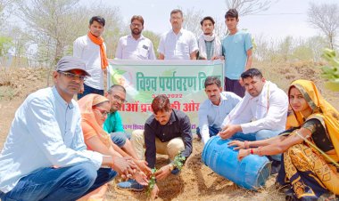 वनों का विकास पर्यावरण के लिए जरूरी- मीणा