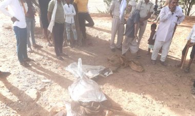 गौहत्या कर मांस बेचने आऐ गौेतस्कर खाल, मास, औजार छोड फरार