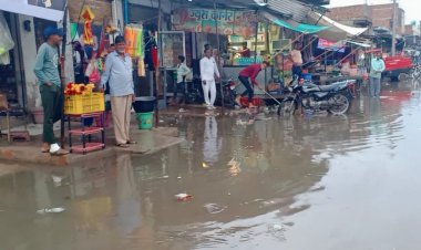 ग्राम पंचायत रामबास के द्वारा 20 जून से चलाया जाएगा नाला सफाई अभियान,नालो में कचरा डालने वाले होंगे चिन्हित