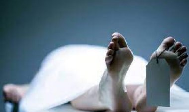 घर के बाहर घूमने निकली थी महिला: गैस सिलेंडर से भरी पिकअप ने मार दी टक्कर, मौत