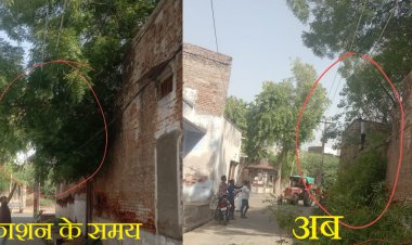खबर का असर: समाचार प्रकाशित होने के बाद खुली विद्युत विभाग की नींद, बिजली के तारों के ऊपर लटक रही नीम की बड़ी डालियों की कटाई शुरू