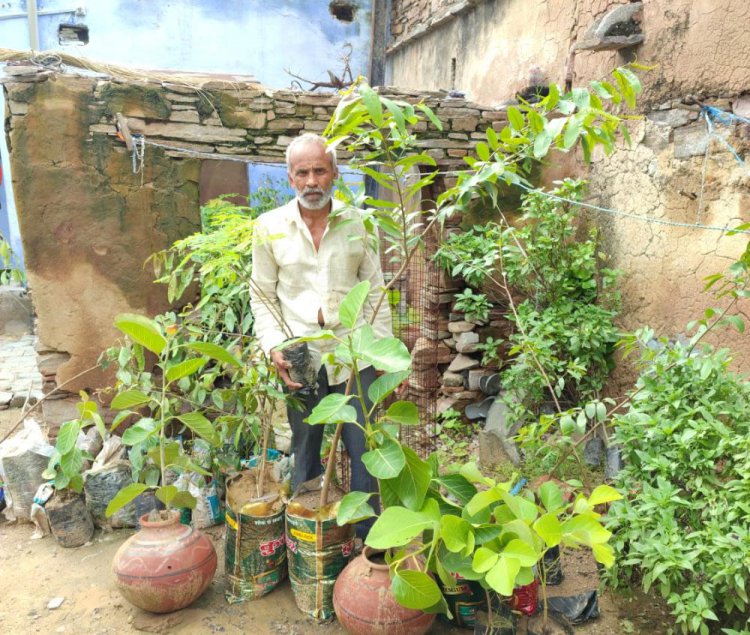पर्यावरण प्रेमी सुरेन्द्र सैन ने अभी तक लगाए 90 हजार से अधिक पौधे, लगभग हर तीसरा पौधा बन चुका पेड़