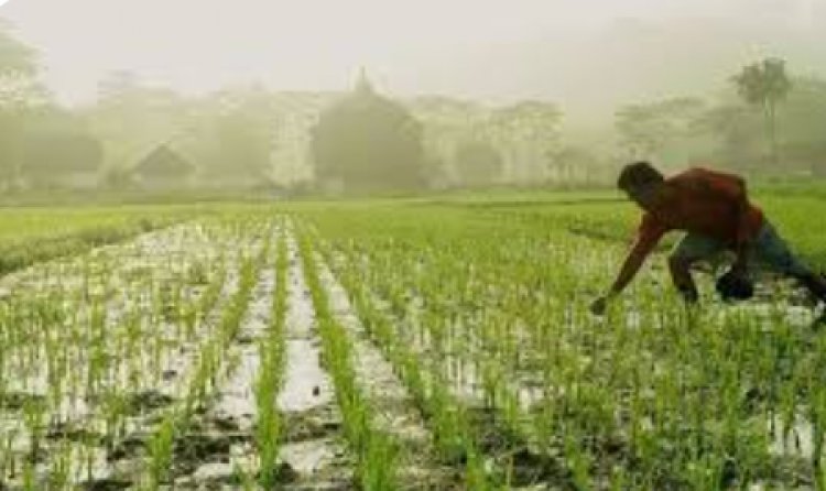 किसान नीति बनें उत्पादन को बढ़ावा देने के साथ पर्यावरणीय सुरक्षा को संरक्षण देने वाली नीति बनाई जाएं