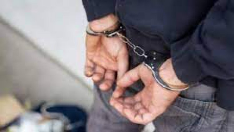 बड़ौदामेंव पुलिस की कार्यवाही: गौतस्कर गिरफ्तार व 20 लीटर अवैध शराब जप्त