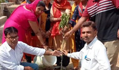 धरा को हरा-भरा रखने हेतु बरसात के मौसम में किया पौधारोपण