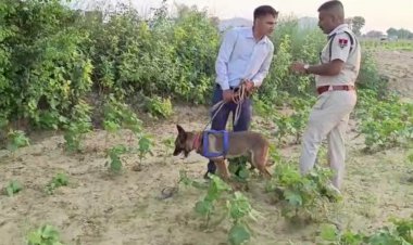 लाड़पुर गाँव के एक खेत में मिला महिला का शव: इलाके में फ़ैली सनसनी