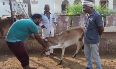 पशुपालन एवं पशु चिकित्सा विभाग की ओर से कल 16 जुलाई को होगा खुरपका-मुंहपका बीमारी से बचाव के लिए विशेष टीकाकरण अभियान