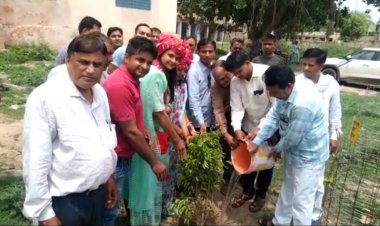 अस्तित्व की उड़ान संगठन ने ब्लॉक प्रारंभिक शिक्षा अधिकारी कार्यालय में किया पौधारोपण कार्यक्रम: लगाए 101 पौधे व ट्रीगार्ड