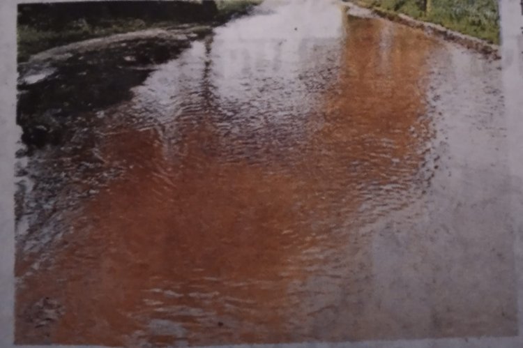 दीवली- कमालपुरा सड़क बनी तालाब: सार्वजनिक निर्माण विभाग नही दे रहा ध्यान