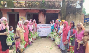 हरित अलवर अभियान के अन्तर्गत लगाये गये 5000 पौधे