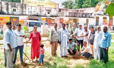 हरियालो राजस्थान-कार्यक्रम में पँचायत समिति में पौधे लगा दिया पर्यावरण बचाने का संदेश