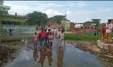 आम रास्ते में जलभराव की विकट समस्या:  सरपंच के खिलाफ आक्रोश लगाए मुर्दाबाद के नारे