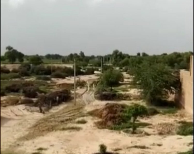 गांव 82 आरबी में हड्डा रोड़ी का अभाव: मजबूरन स्कूल की भूमि पर मृत पशुओं को डाल रहे ग्रामीण, समाधान नही होने पर आंदोलन की दी चेतावनी