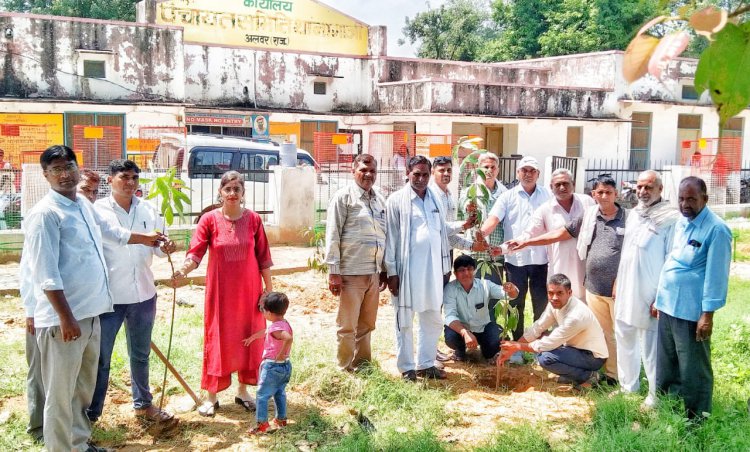 हरियालो राजस्थान-कार्यक्रम में पँचायत समिति में पौधे लगा दिया पर्यावरण बचाने का संदेश