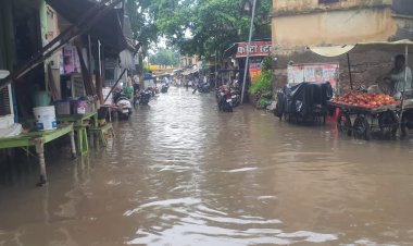 एक घंटे की बारिश ने खोल दी नगरपालिका की सफाई व्यवस्था की पोल: तालाब में तब्दील हुआ पूरा कस्बा