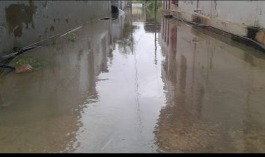 खैरथल के कई वार्डों में भरा बारिश का पानी,नगरपालिका नहीं कर रही समाधान