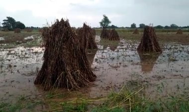 तीन दिन से लगातार हो रही बारिश से किसानों के चेहरों पर चिंता की लकीर