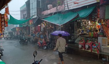 जहाजपुर में बारिश से किसानों को फायदे के साथ हुआ नुकसान  