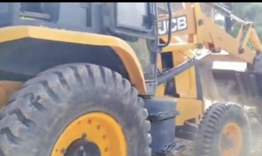 अवैध तरीके से राज्य वृक्ष सहित पेड़ उजाड़ने में लगी जेसीबी को वन विभाग ने किया सीज