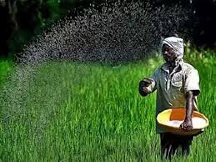 बयाना में रासायनिक खाद व डीएपी की किल्लत: विक्रय केंद्र पर किसानों की भीड़