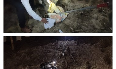 पिछले कई दिनों से अजगर सापों के निकलने से वैर उपखंड के ग्रामीणो में भय व्याप्त