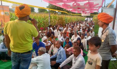 कारोई में रासी सीड्स की मक्का प्रदर्शनी का हुआ आयोजन