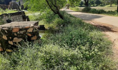 पंचायत मुख्यालय व विद्यालय के पास सडक के किनारे जर्जर पडा कुआ दे रहा हादसो को न्यौता