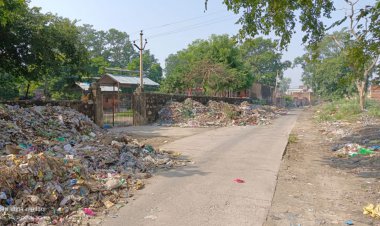 छोटी बावड़ी हनुमान मंदिर के रास्ते में लगा गंदगी का अम्बार: भाजपा नेता दिनेश चौहान ने नगरपालिका को कराया अवगत