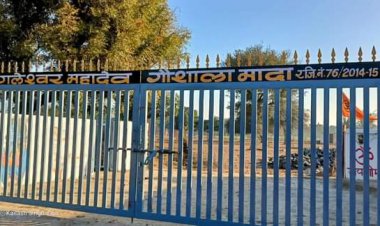 व्यापार मण्डल ने गौशाला मे गुड व दलिया किया वितरण