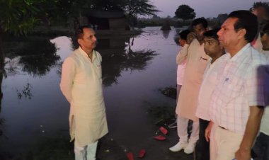 केबिनेट मंत्री भजनलाल जाटव ने ग्राम पंचायतों का दौरा कर  मौसम अतिवृष्टि से खराब हुई फसलों का लिया जायजा