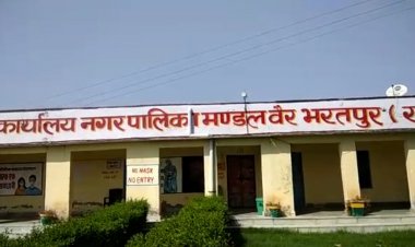 सड़क के किनारे मृत जानवरो को डाल देने से वातावरण हो रहा  दूषित आमजन परेशान ,नगरपालिका वैर की लापरवाही