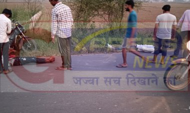 गोविंदगढ़ सीकरी रोड पर शाकीपुर के समीप नीलगाय की टक्कर से बाइक सवार दो युवक घायल: अलवर रैफर